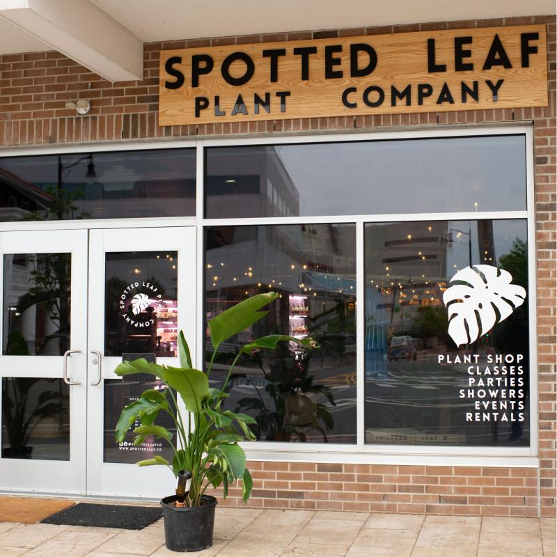 Spotted Leaf Plant Company